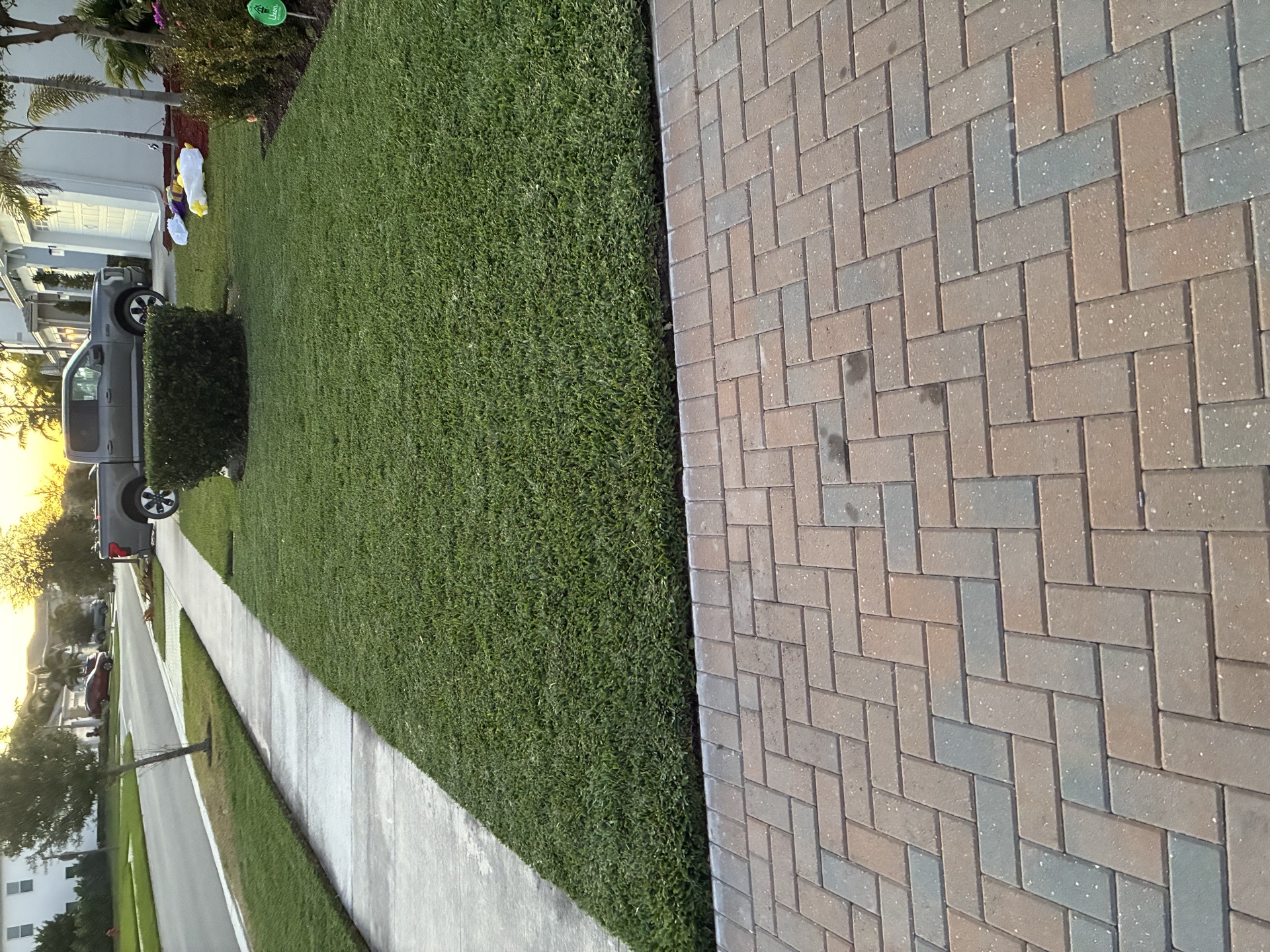 DM Lawn and Care services photo 2