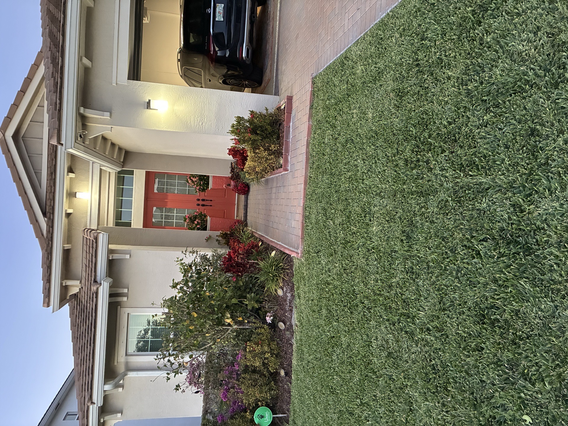 DM Lawn and Care services photo 3