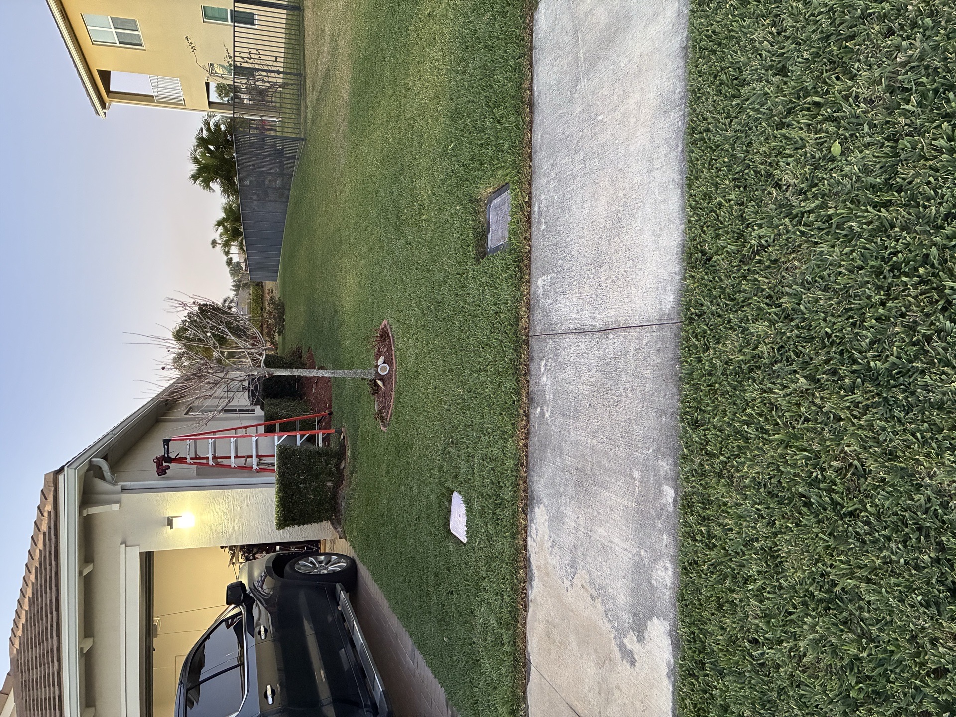 DM Lawn and Care services photo 5