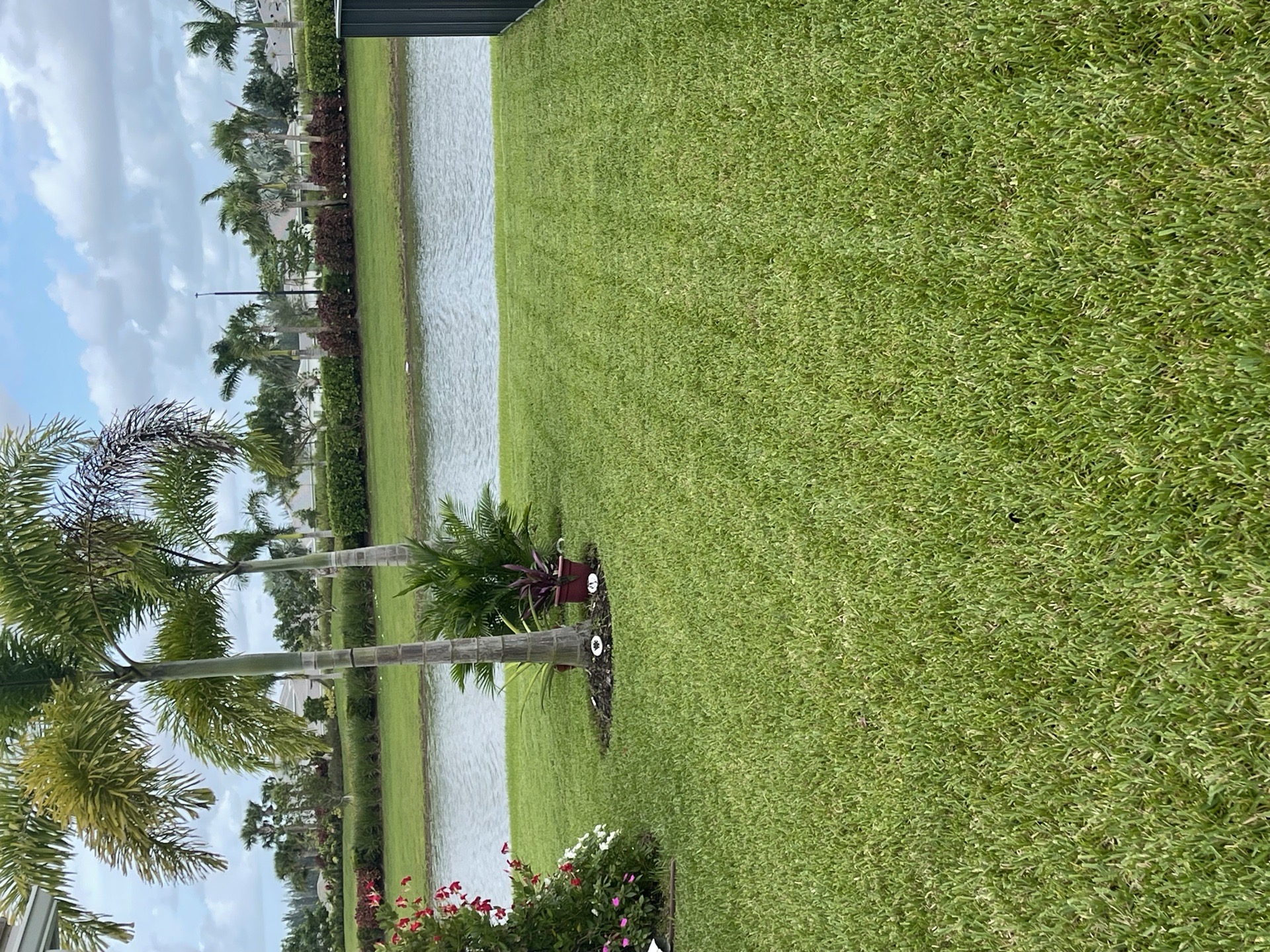 DM Lawn and Care services photo 6
