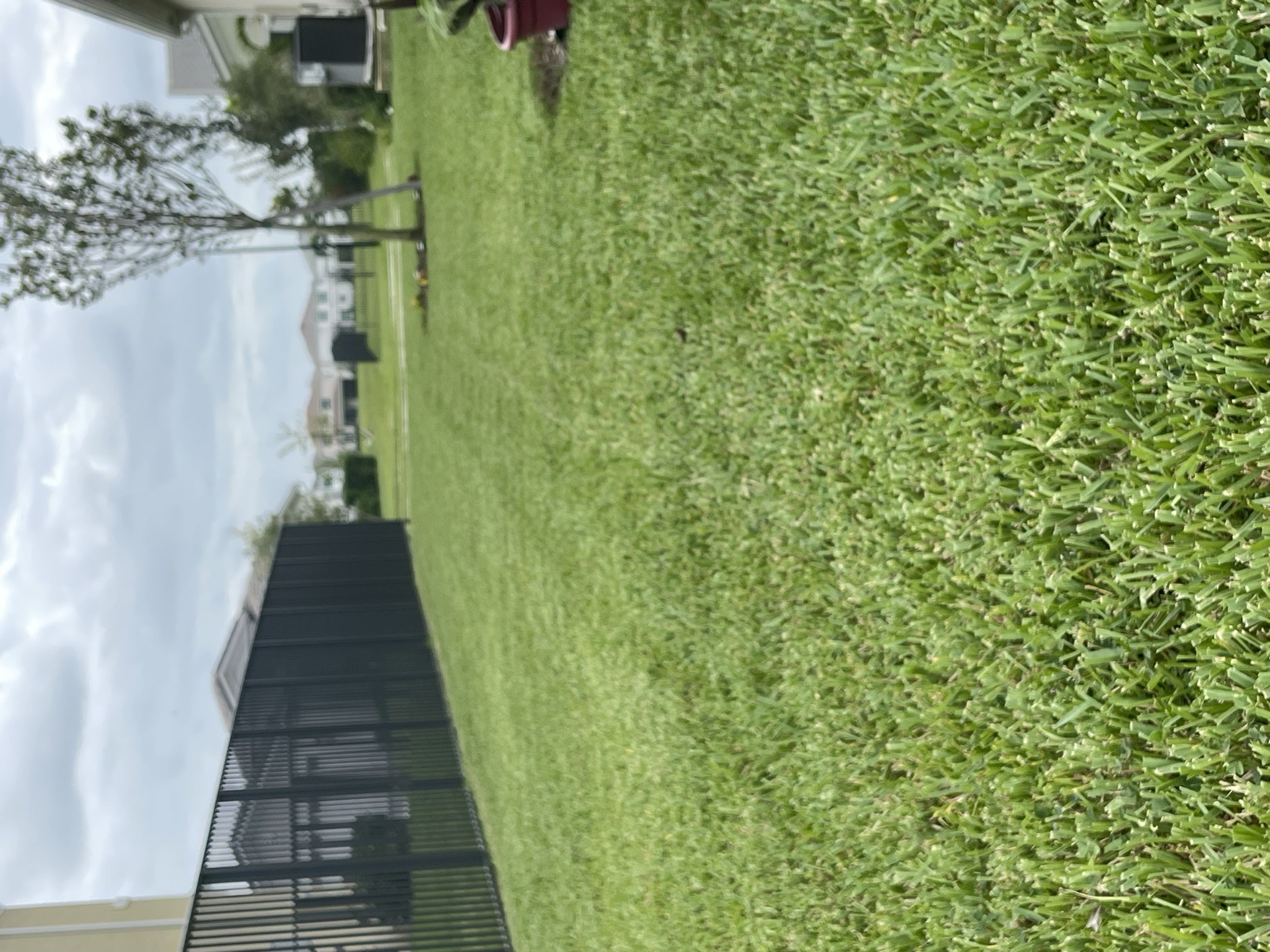 DM Lawn and Care services photo 7