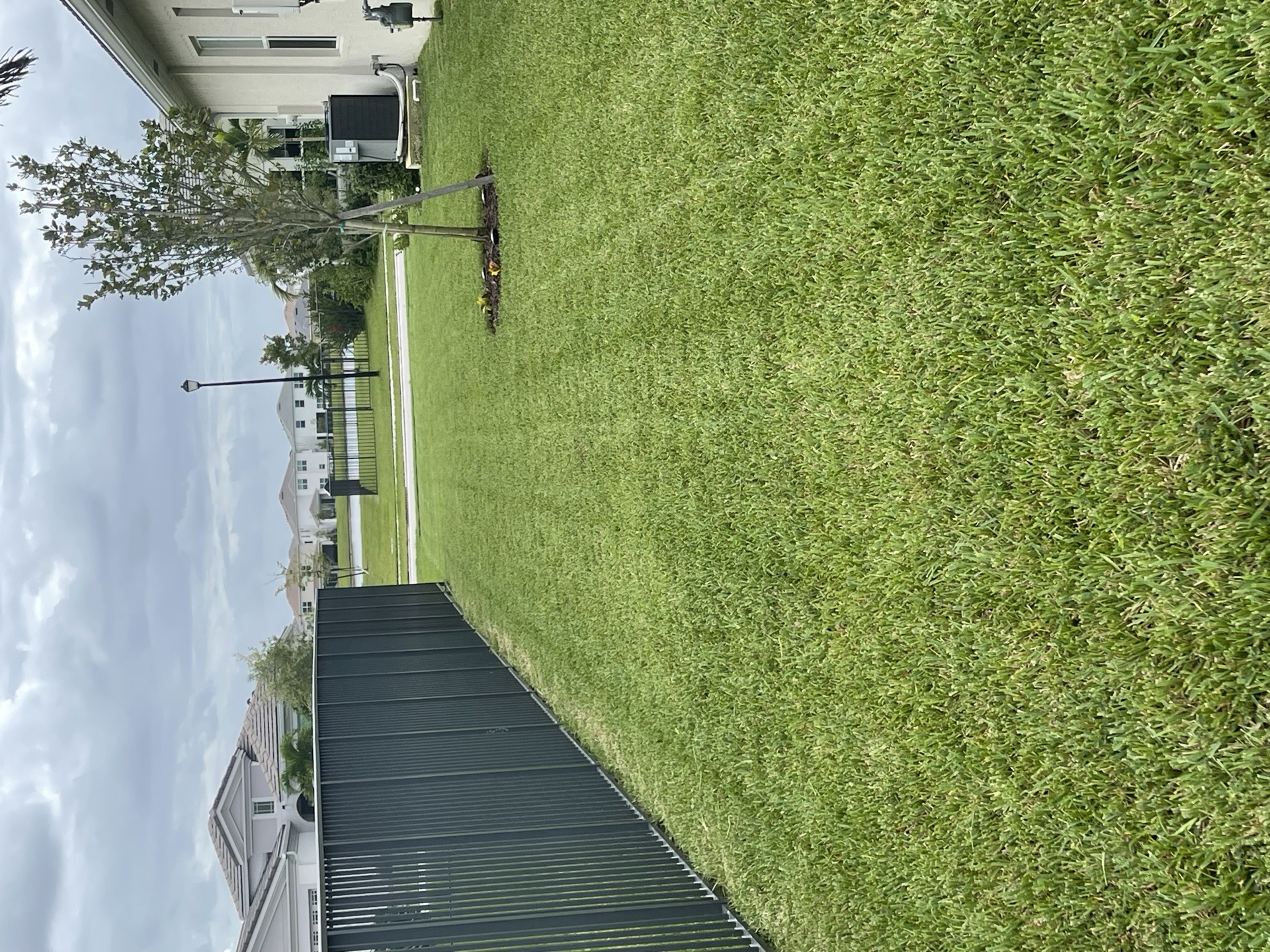 DM Lawn and Care services photo 8