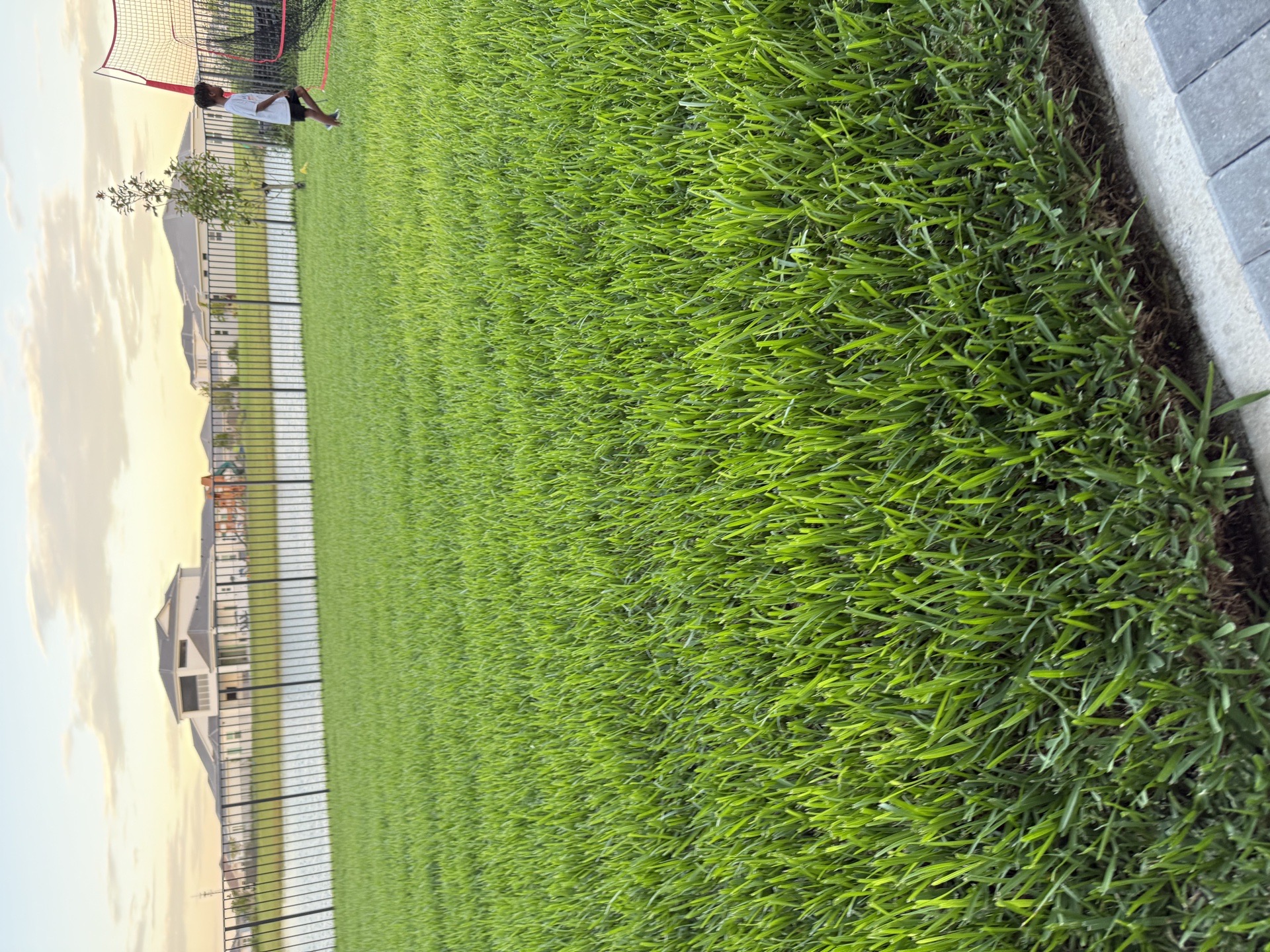 Freedom Lawn Services
